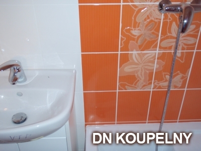 1-98-rekonstrukce-koupelny-1-small.jpg
