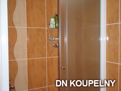 4-266-rekonstrukce-koupelny-havirov-small.jpg